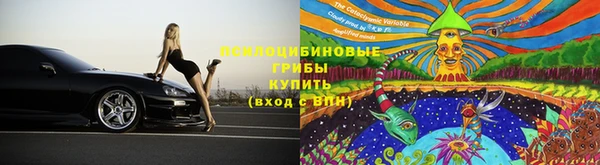 ECSTASY Белоозёрский