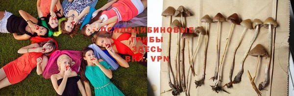 скорость Баксан