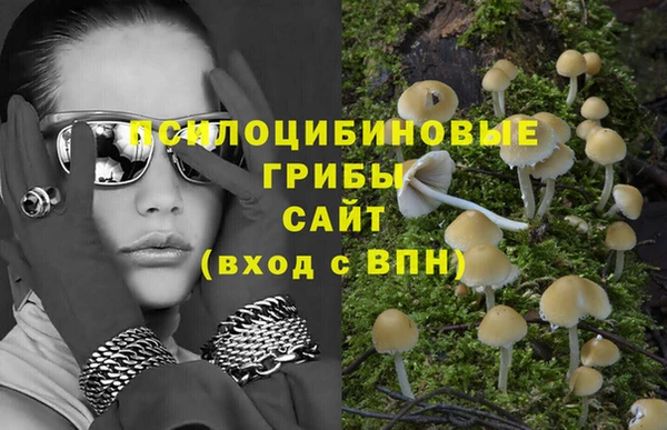 PSILOCYBIN Балахна